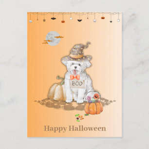 Postal De Festividades Cachorro do Halloween Vestindo Cartão Docente do H