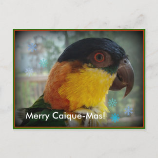 Postal De Festividades Caique-Mas da feliz! Cartão