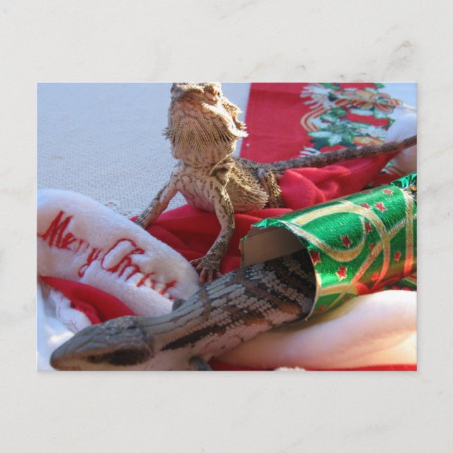 Postal De Festividades Cartão australiano do Natal (Frente)