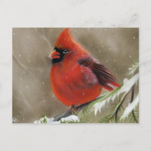 Postal De Festividades Cartão cardinal vermelho do Natal do pássaro