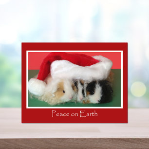 Postal De Festividades Cartão da cobaia do Natal do Cavy
