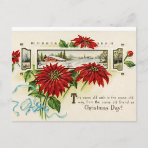 Postal De Festividades Cartão da poinsétia da flor