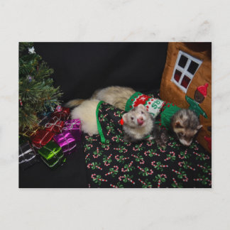 Postal De Festividades Cartão das doninhas do Natal