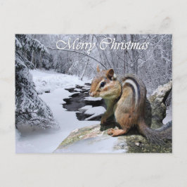 Postal De Festividades Cartão do Chipmunk do Feliz Natal