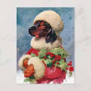 Postal De Festividades Cartão do Dachshund do azevinho do natal vintage