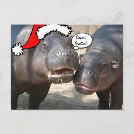 Postal De Festividades Cartão do hipopótamo do papai noel do Natal