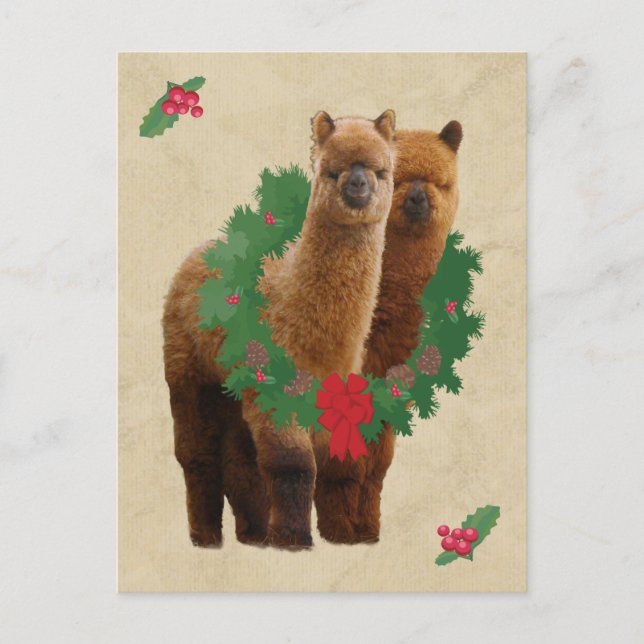Postal De Festividades Cartão do Natal da alpaca (Frente)