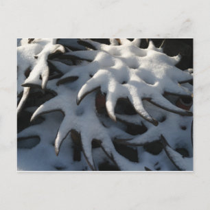 Postal De Festividades Cartão do Natal da roda do cultivador do trator