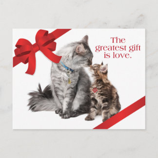 Postal De Festividades Cartão dos gatos do feriado