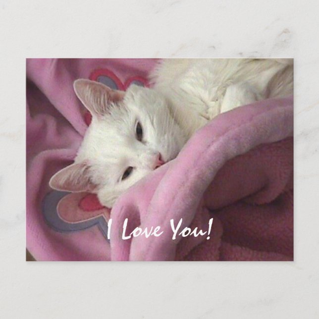 Postal De Festividades Cartão dos namorados - personalizado (Frente)