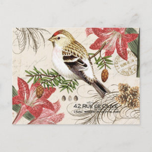 Postal De Festividades Cartão francês do pássaro do Natal do vintage