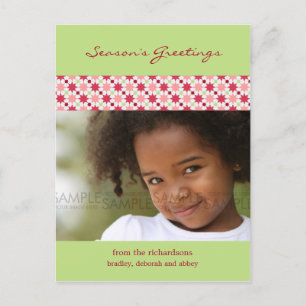 Postal De Festividades Estrelas do Amaryllis:: Cartão da foto do Natal