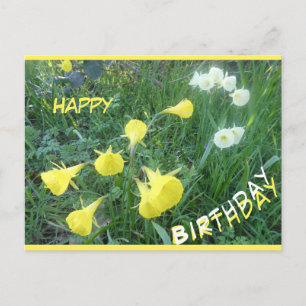 Postal De Festividades Narcisos Árticos Sinos Feliz Aniversário Cartão Po