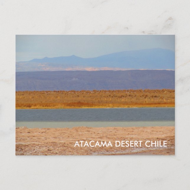 Postal Deserto de Atacama, cartão do Chile (Frente)
