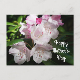 Postal Dia de as mães Sakura Cherry Blossom nº 2 Cartão p