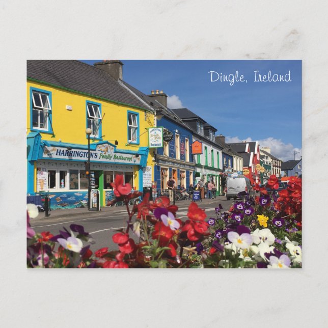 Postal Dingle, cartão de Ireland (Frente)