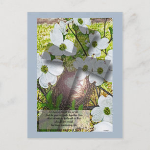 Postal Dogwood Flower and Cross w/John 3:16 Cartão posta