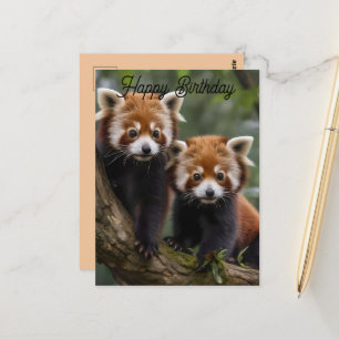 Postal Dois Pandas Vermelhos Bebês, Cartão de Aniversário