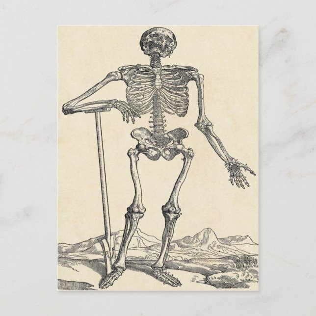 Postal Dug Seu Próprio Cartão Grave (Frente)