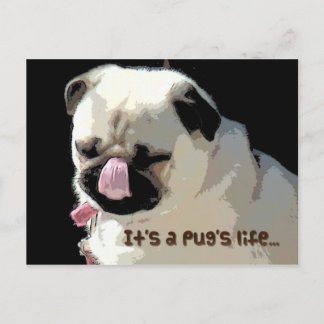 Postal É a vida de um Pug… Cartão