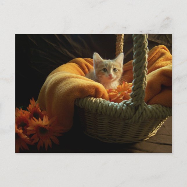 Postal É um cartão grande do mundo (Frente)