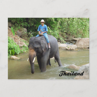 Postal Elefante e Mahout cartão de Chiang Mai, Tailândia