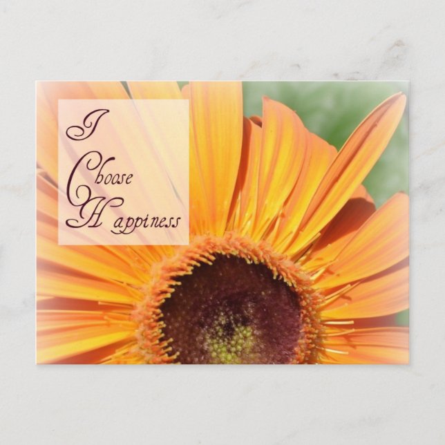 Postal Escolho o Cartão de Posto Feliz (Frente)