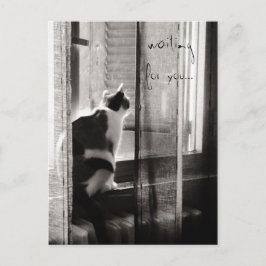 Postal Esperando o - cartão