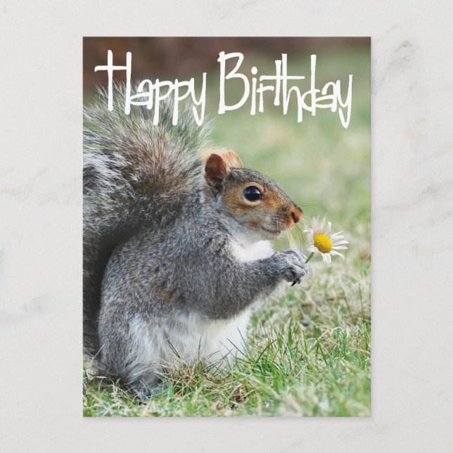 Postal Esquilo com Cartão de Aniversário Feliz de Daisy (Frente)