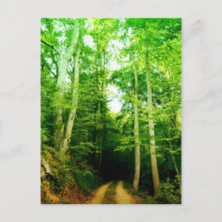 Postal Estrada no Cartão de Posto Woods