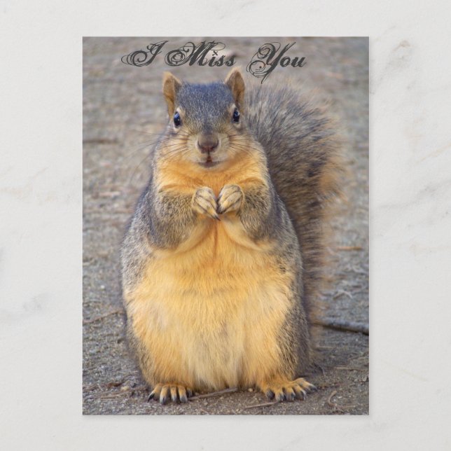 Postal Eu Sinto Sua Falta_ Cartão Postal_por Elenne Booth (Frente)