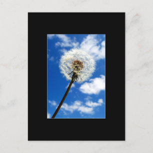 Postal Faça um cartão de negociação de arte ACEO