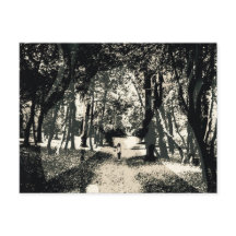 Fantasma assustador no cartão da imagem das