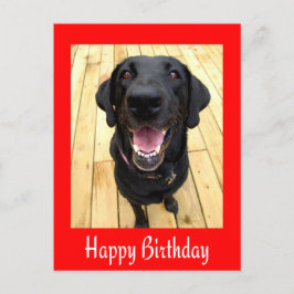 Postal Feliz Aniversário Cartão de Posto Preto Labrador R