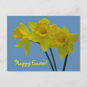 Postal "Feliz Páscoa" Cartão de Narcisos