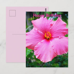 Postal Flor de Hibisco Rosa Chuva Sprinkles, Cartão de An