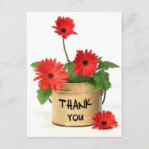 Postal Floral Obrigado Red Gerbera Daisy Flower Cartão po