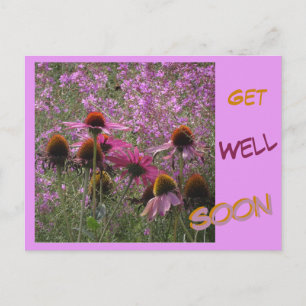 Postal Flores de Coneflower, Texto Personalizado, Cartão 