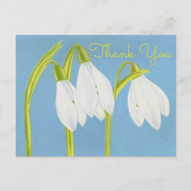 Postal Flores de Neve ~ Cartão de Agradecimento (Frente)