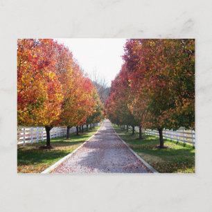 Postal Folhas de outono no Cartão de Posto Glen Allen VA