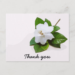 Postal Gardenia flores Simpatia Obrigado Cartão Simples