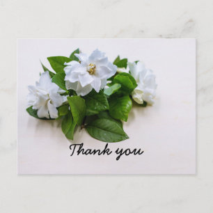 Postal Gardenia flores Simpatia Obrigado Cartão Simples