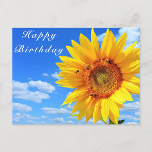 Postal Girassol e abelhas no Cartão de Aniversário do Céu
