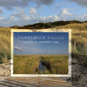 Postal Hamburger Hallig, Mar do Wadden, Alemanha - Cartão