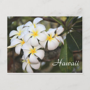 Postal Havaí, Flores brancas, Cartão de Posto