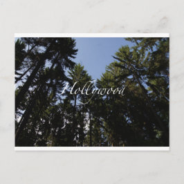 Postal Hollywood - Cartão Saudável