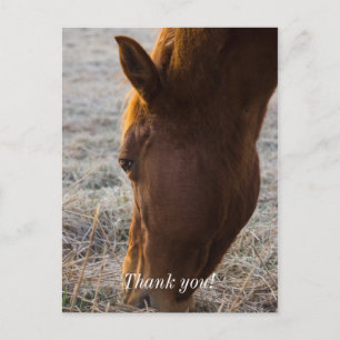 Postal Hora de Comer Cartão de Agradecimento