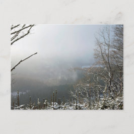 Postal Inverno - Cartão Floresta Macclesfield