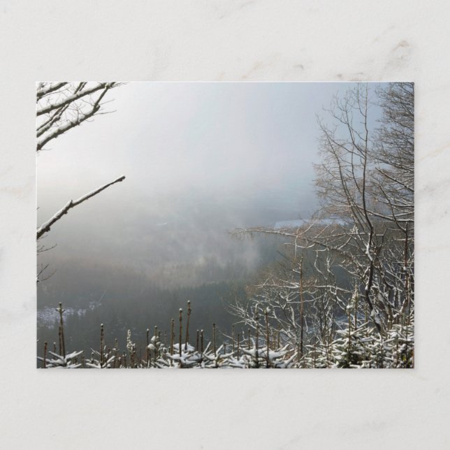 Postal Inverno - Cartão Floresta Macclesfield (Frente)