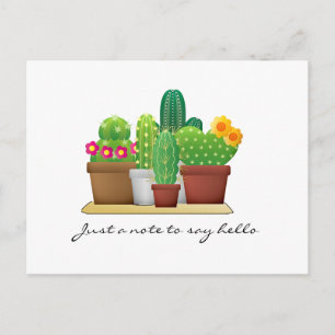 Postal Jardim Colorido de Cactus / Cartão de Boas-Vindas